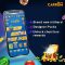 Carrom King features